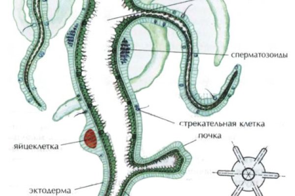 Кракен войти на сайт