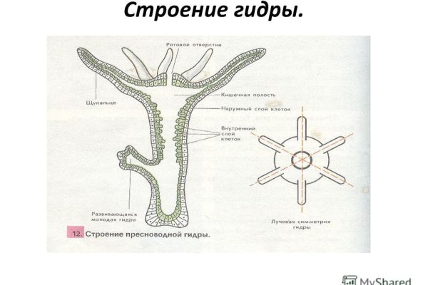 Сайт кракена в торе