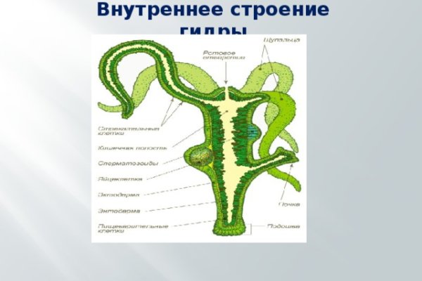 Ссылка на кракен в тор браузере kr2web in